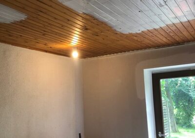 Painting ceilings and walls