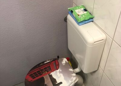 Toilet area complete